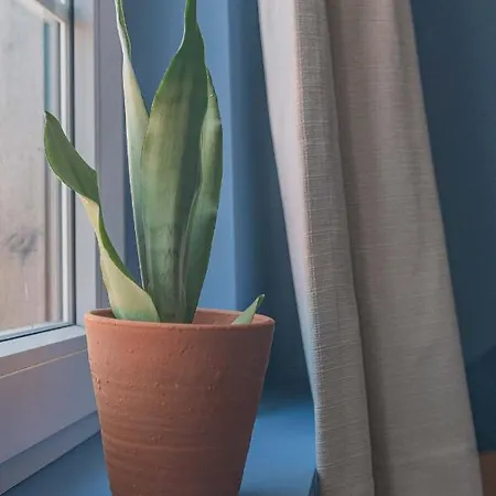 Wanderlust Belgium Dom wakacyjny Ostenda